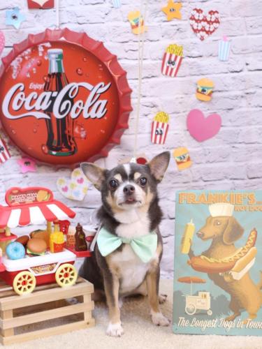 20230909メルくん